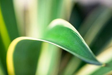 《星之海洋6》新角色预告公布 游戏10月27日发售